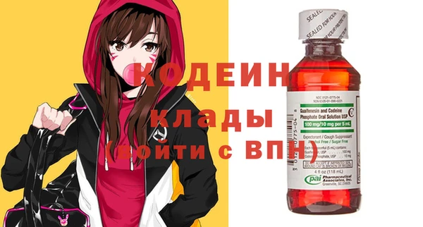 мдпв Ельня