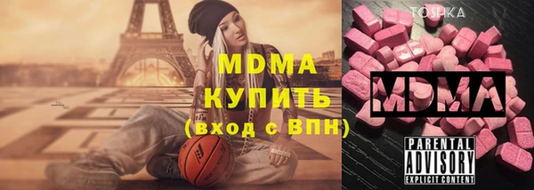 мдпв Ельня