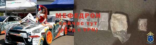 мдпв Ельня