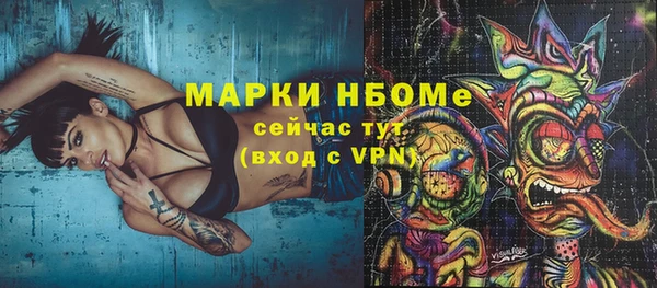 мдпв Ельня