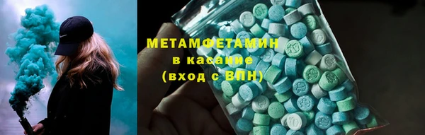 мдпв Ельня
