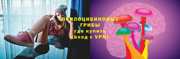 мдпв Ельня