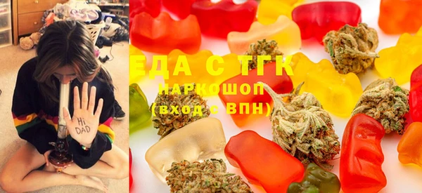 мдпв Ельня