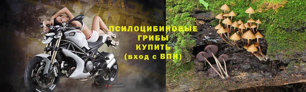 мдпв Ельня