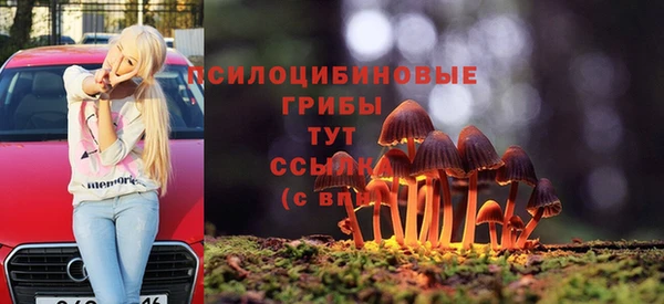 гашик Елабуга