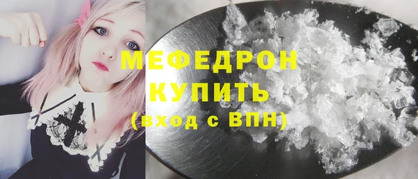 мдпв Ельня
