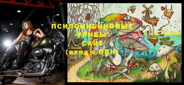 гашик Елабуга
