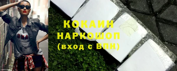 мдпв Ельня