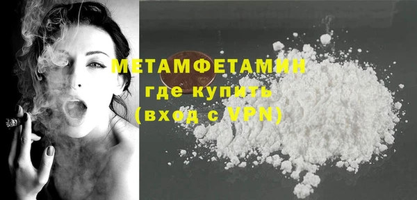 мдпв Ельня
